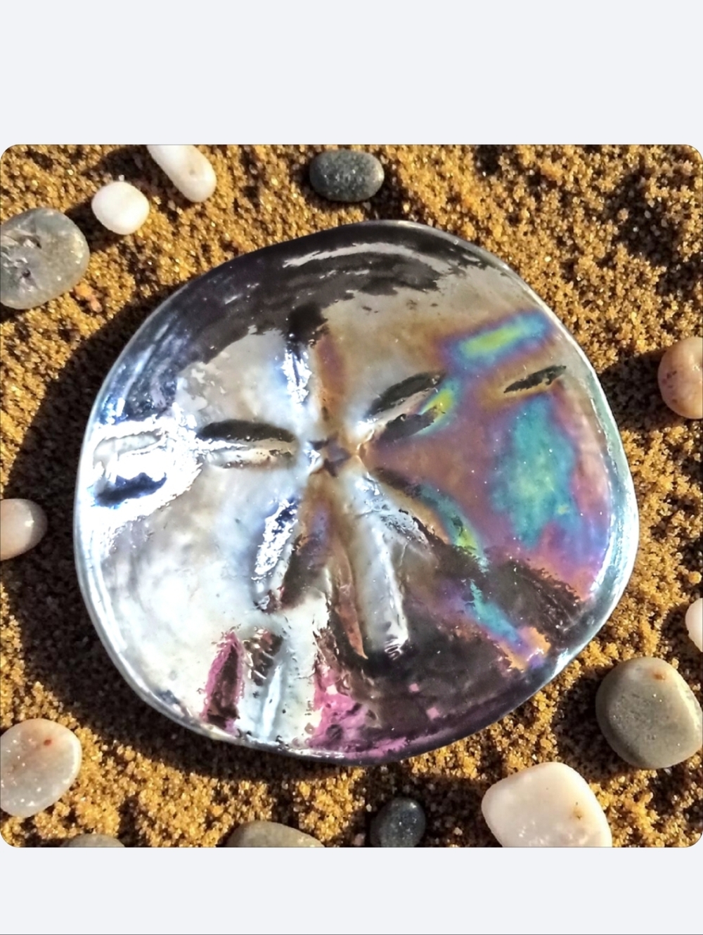 Art Glass Sand Dollar Iridescent Paperweight Vintage Coastal Beach House Ocean